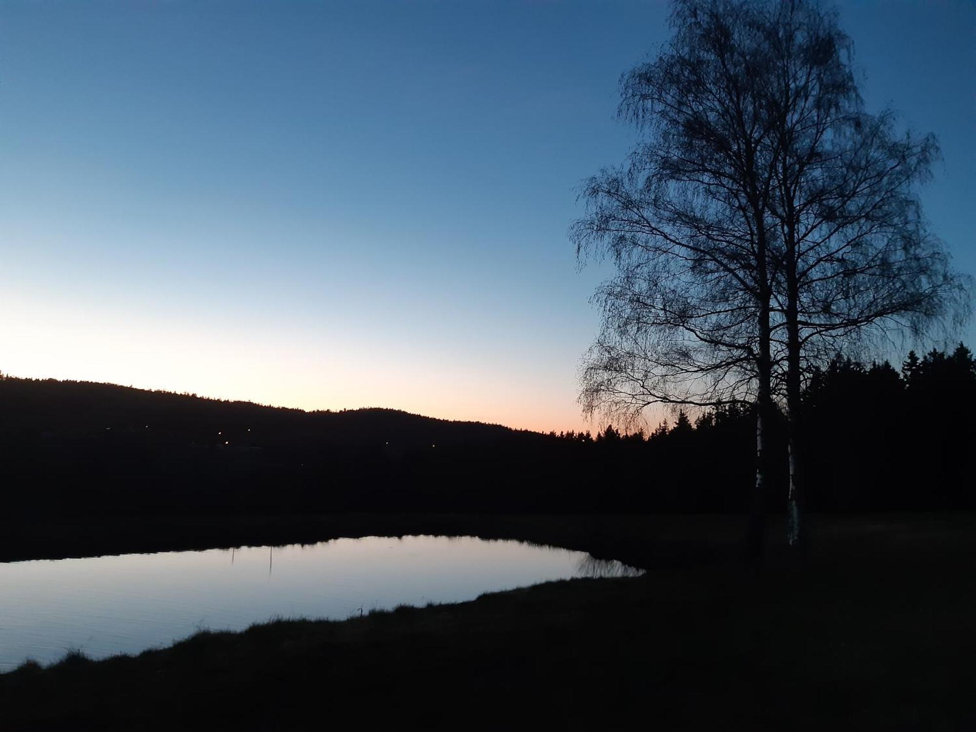 Hotel Zum Bergbauern Waidhaus Esterno foto