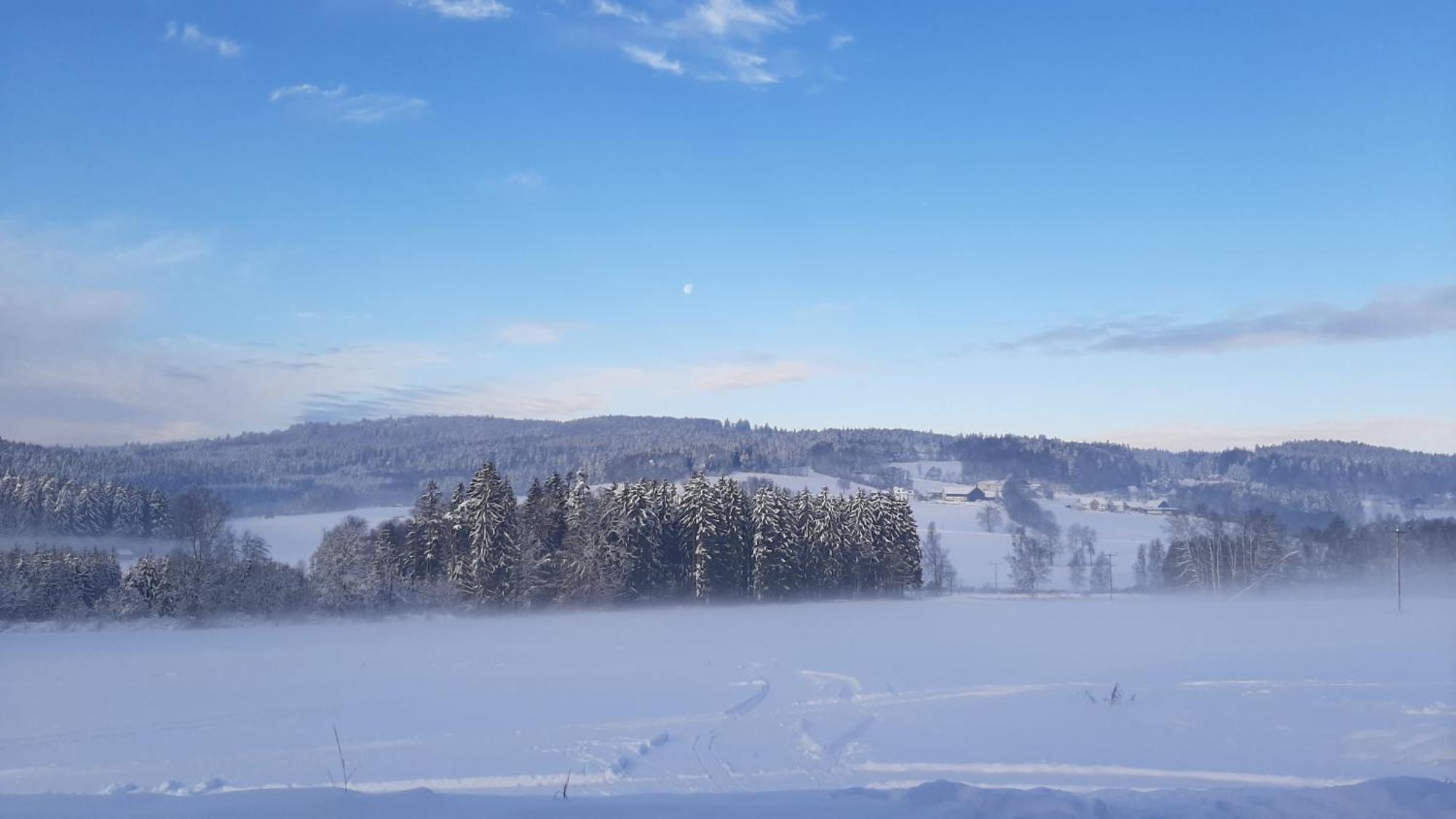 Hotel Zum Bergbauern Waidhaus Esterno foto